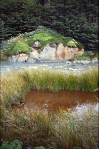 0490 PAINE - údolí Valle del Frances.jpg